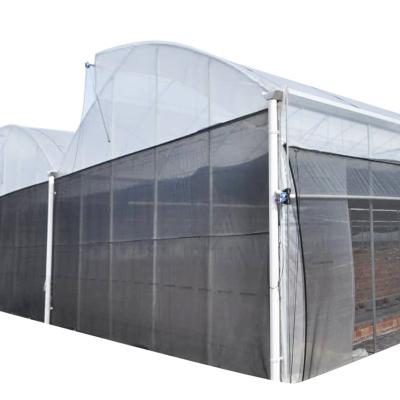 China Fruit Vegetable Flowers Multi Span Film Green House Hydroponic Planting Greenhouse For Agricultural Greenhouses Made In China for sale