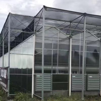 China Vegetable Fruit Flower Agriculture Technology Greenhouse For Nursery Breeding for sale