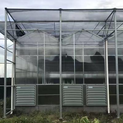 China Fruit Flowers Hobby Greenhouses Vegetable Greenhouse For Nursery Breeding for sale