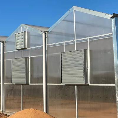 China Vegetable Fruit Flower Horticulture Greenhouse For Nursery Breeding for sale