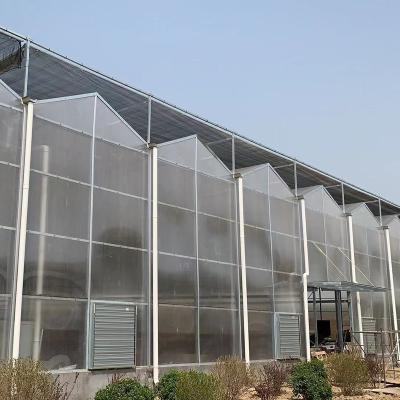 China Vegetable Fruit Flowers Hydroponics Growing Greenhouse For Nursery Breeding for sale