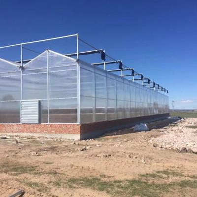 China Fruit Vegetable Flower Glass Greenhouse for Nursery Breeding for sale