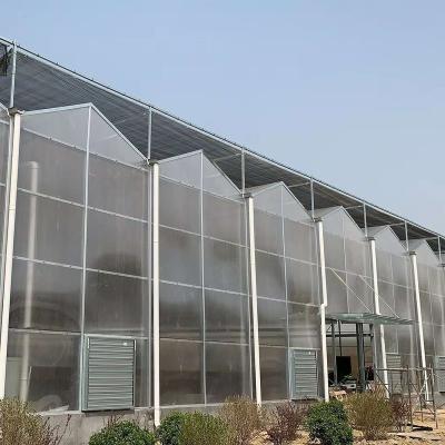 China Vegetable Fruit Flower Cucumber Greenhouse For Nursery Breeding for sale