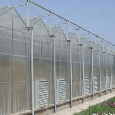 China Commercial fruit vegetable flower greenhouse for nursery breeding for sale