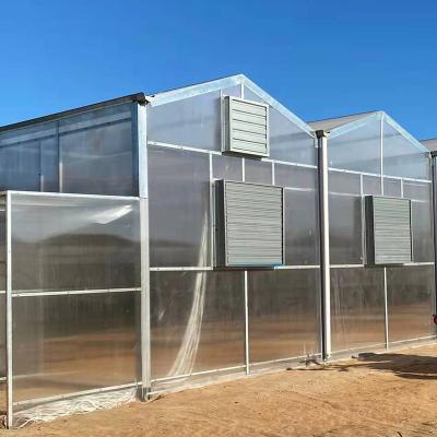 China Vegetable fruit flower china greenhouse for nursery breeding for sale