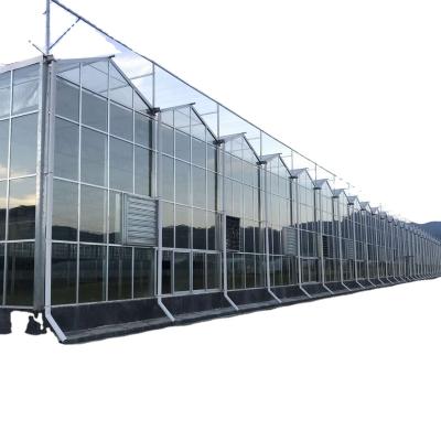 China Economical China Polycarbonate Greenhouse Planting Vertical Vegetable Greenhouse Agricultural Hydroponic System For Sale for sale