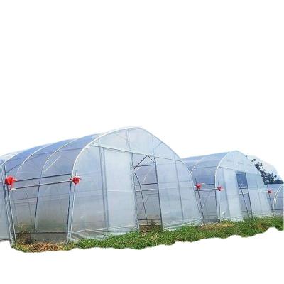 China Fruit Flowers Single-span Agriculture Greenhouse Tunnel Vegetable Greenhouse For Sale for sale