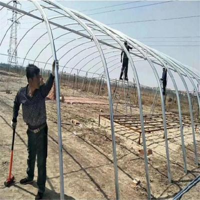 China Easy Installation Plastic UV Greenhouse With Manual Ventilation For Sale for sale