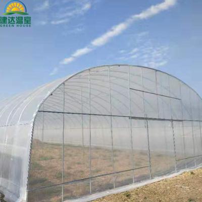 China Fruits Vegetable Flowers Main Frame Plastic Sheet Hot Galvanized Steel Greenhouse for sale