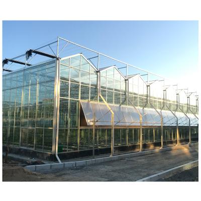 China Vegetable glass house for plants for sale