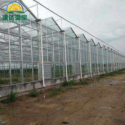 China Flower Vegetable Strawberry Fruit Greenhouses Agricultural Glass House For Strawberry Tomato Vertical Farm Indoor Green House for sale