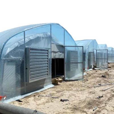 China Vegetable Fruits Flowers Tunnel Greenhouse Vertical Cultivating Greenhouse for sale