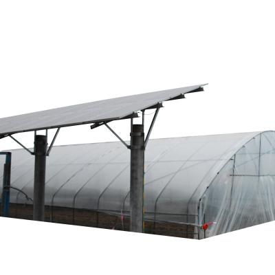 China Vegetable Fruits Flowers Film Agriculture Solar Panel Photovoltaic Greenhouse For Planting Vegetables for sale