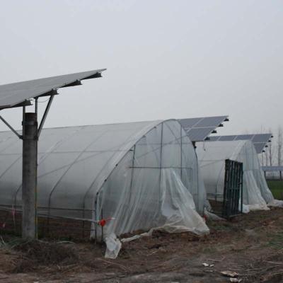 China Fruit Vegetable Flower Solar Greenhouse For Sale for sale