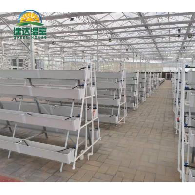 China Greenhouse Hydroponic Commercial Strawberry Planting Gutter Farm Equipment With Hydroponic Growing System for sale