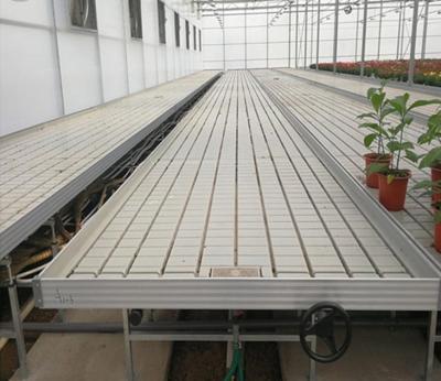 China Temperature Control ABS Drop And Flood Rolling Seedling For Greenhouse Seeding for sale