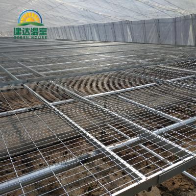 China Fruit Flower Greenhouse JianDa Maker Seedling Vegetable Tray Seedling for sale