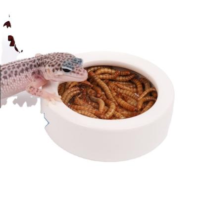 China BG Sustainable TC-02 Barbarian Growth Around Ceramic Rising Pet Prevent Escape Food Bowl Feeder Pet Bowl for sale