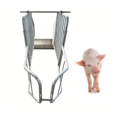 China 2023 Durable Swine Farm Product Pig Stable Crate Pen Equipment Farrowing Crates For Pig Pregnancy for sale