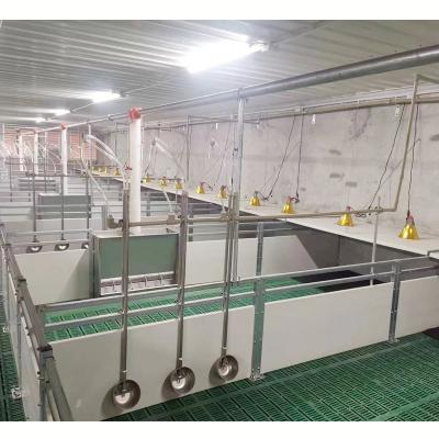 China Durable Hot Sale Weaner Nursery Stall In Pig Farm Equipment for sale