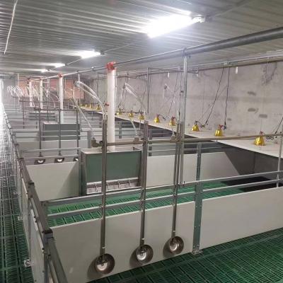 China Durable Hot Sale Pig Farm Equipment In Weaner Nursery Stall With Stainless Steel for sale