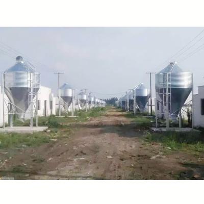 China Durable Automatic Pig Feeding System In Pig Farm Equipment for sale