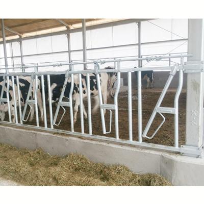 China Durable Hot Dip Galvanized Livestock Key Lock For Livestock Farm Equipment for sale