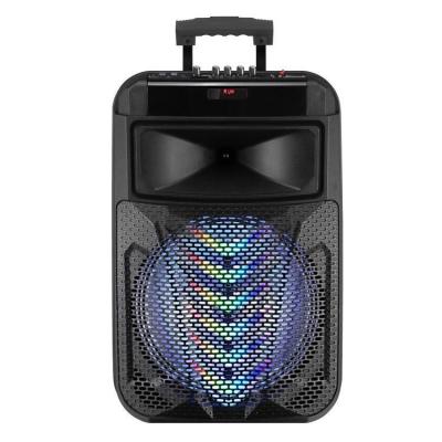 China No Sale 12 Inch Portable Outdoor Trolley Speaker Sound Box Chinese Manufacturer for sale