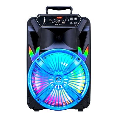 China None 2021 New Design 12inch Trolley Speaker With Microphone Subwoofer USB Cable Power Battery Cable Plastic Audio Player for sale