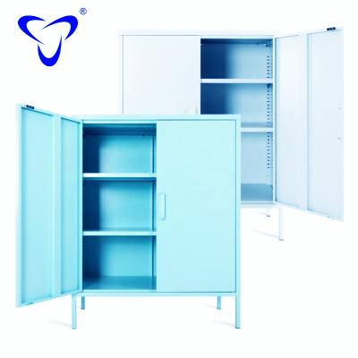 China Good Selling Morden Metal Closet Steel Home Use Specially Use Display With Legs Stand Up Storage Cabinet for sale