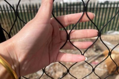 China Green Aviary Wire Mesh 30*30mm Stainless Steel Aviary Mesh 2.0mm Wire Diameter for sale