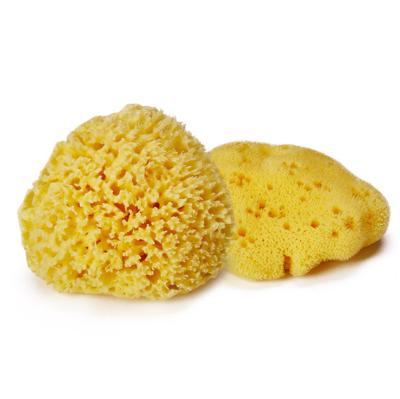 China All Natural 100% Natural Honeycomb Baby Velvet Newborn Infant Greek Bath Sponge For Kids Face for sale