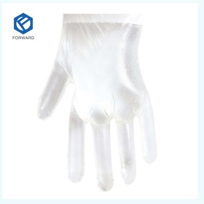 China Food Service Food Handling HDPE Clear PE Plastic Polythene Disposable Glove for sale