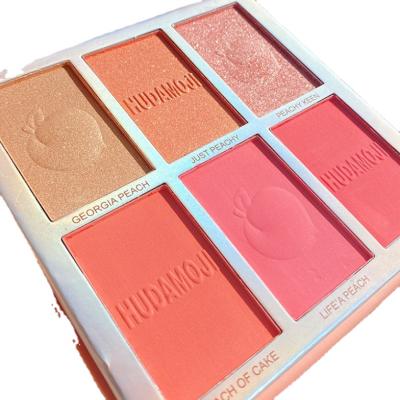 China Waterproof Makeup Blusher Pallete Custom Vegan Blush Cute Powder Case Blush Palette for sale