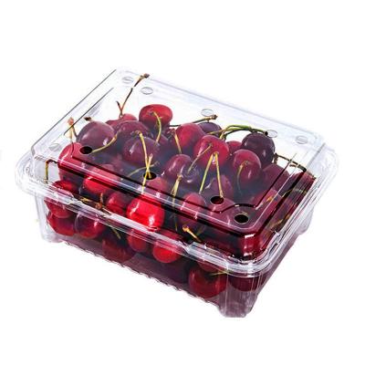 China Recycled Clear Plastic Fruit Container Materials Supermarket Blister Clamshell Fruit Vegetable Container Packaging Box for sale