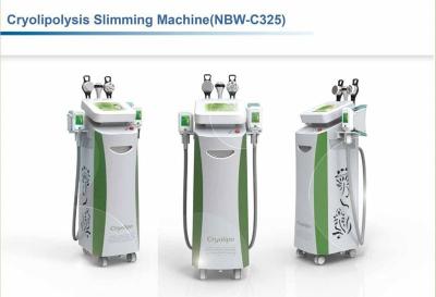 China Cryolipolysis Slimming Machine NBW-C325 for sale