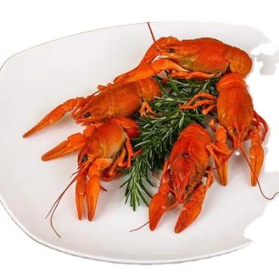 China Vacuum Packing Cooked Hongze Lake Flavored Crayfish With Low Price Ready-To-Eat Frozen Crawfish for sale