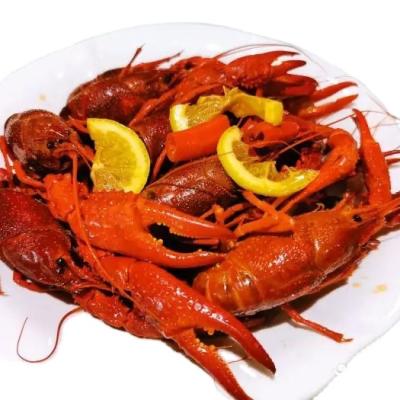 China 2022 New Season FROZEN Seasoned Crayfish for Export Ready-To-Eat Crawfish for sale