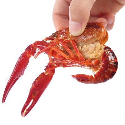 China Frozen Live FROZEN Red Claw Lobster Crayfish For Sale for sale