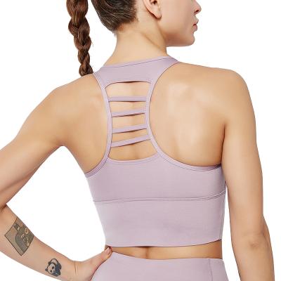 China Breathable Custom Sportswear Manufacturers Shaping Back Seamless Push Up Bra Workout Support Women Crop Top for sale