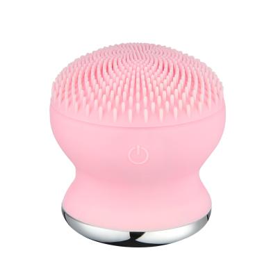 China DEEPLY CLEANING 2 in 1 mini 2 Sonic Electric Silicone Facial Cleansing Vibrating Massager brush for sale