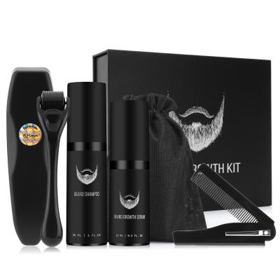 China Dropshipping 4Pcs Beard Growth Kit Men Facial Beard Growth Kit Comb Roller Set Beard Care for sale