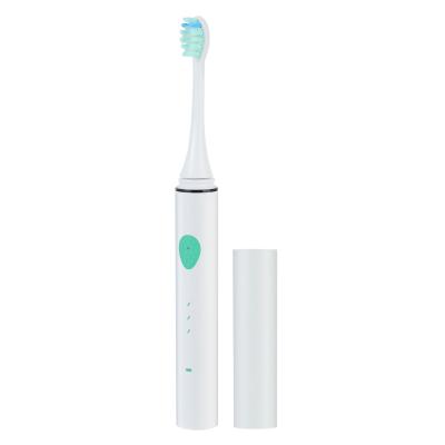 China Teeth Cleaning Replacement Brush Head Cheap Dupont Soft Stiffens Rechargeable Electric Toothbrush Factory Price Travel Case for sale