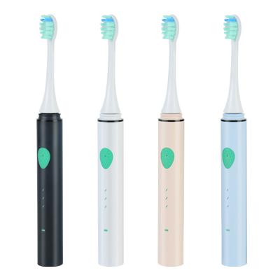 China Teeth Cleaning Sonic Travel Vibration Electric Toothbrush Custom Hard Ultrasonic Manufacturing For Adults for sale