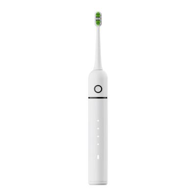 China Teeth Cleaning Professional Customized Multifunctional Cheap Smart Ultrasonic Sonic Adult Electric Toothbrush for sale