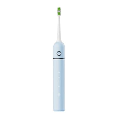 China Customized Professional Direct Sales Color Mini Ultrasonic Electric Toothbrush Teeth Cleaner For Adults for sale