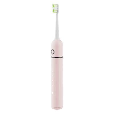 China Teeth Cleaning OEM ODM Factory Sales 4 Modes IPX7 Water Proof Smart Timer Sonic Electric Toothbrush Adult Private Label for sale