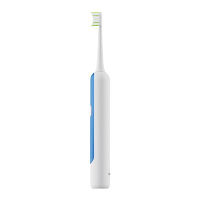 China Teeth Cleaning Wholesale Sonic Electric Toothbrush Cleaner Porcelain To Replace Head For Electric Toothbrushes for sale