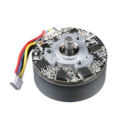 China BL4525 12V 13W Waterproof High Torque Rotor BLDC Brushless External Motor For Massage Gun for sale