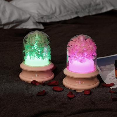 China Aromatherapy Humidifying 2 Mothers Day Gifts Unique Custom Personal Space Air In 1 Humidifier 1 Pcs Mini USB Desktop Desktop Humidifier for sale